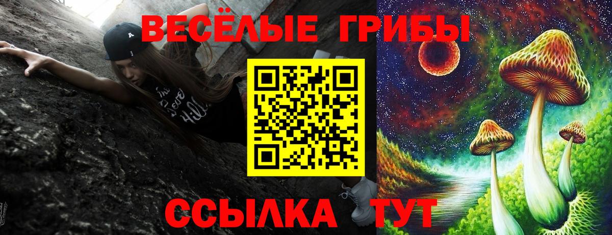Галлюциногенные грибы MAGIC MUSHROOMS  Вход с VPN  Нерюнгри  Галлюциногенные грибы MAGIC MUSHROOMS 